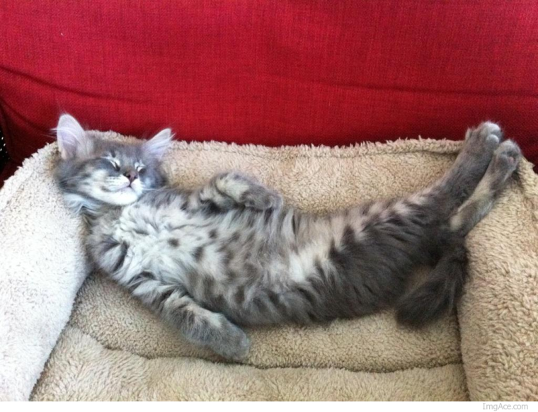 Шутки про вторник