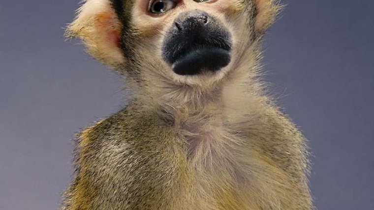 Вечер вторника приколы