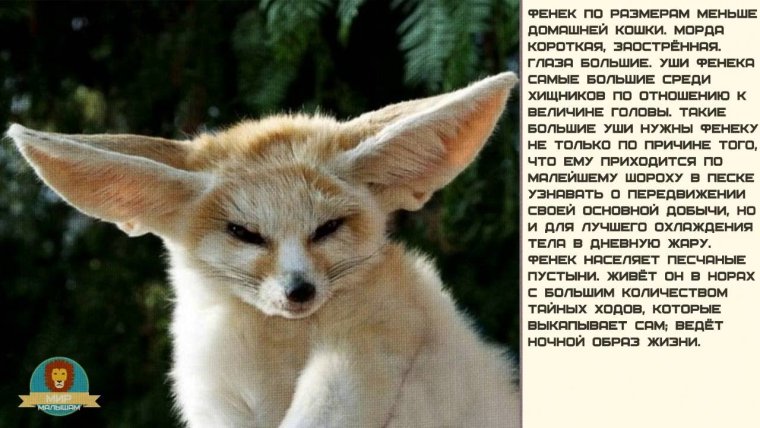 Мемы про вторник