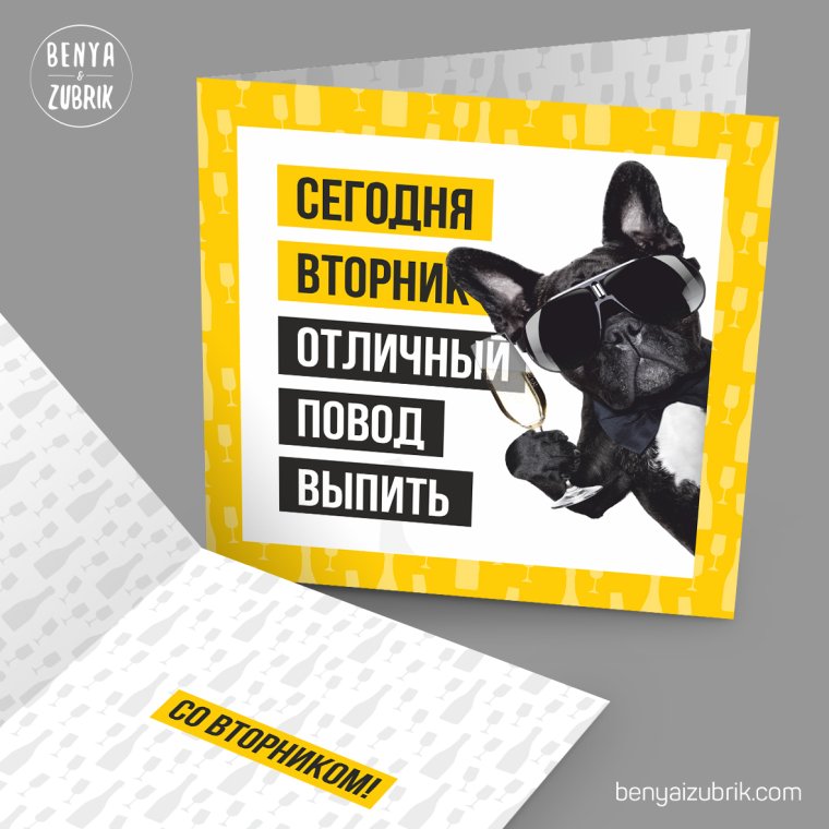 Продуктивный день кот