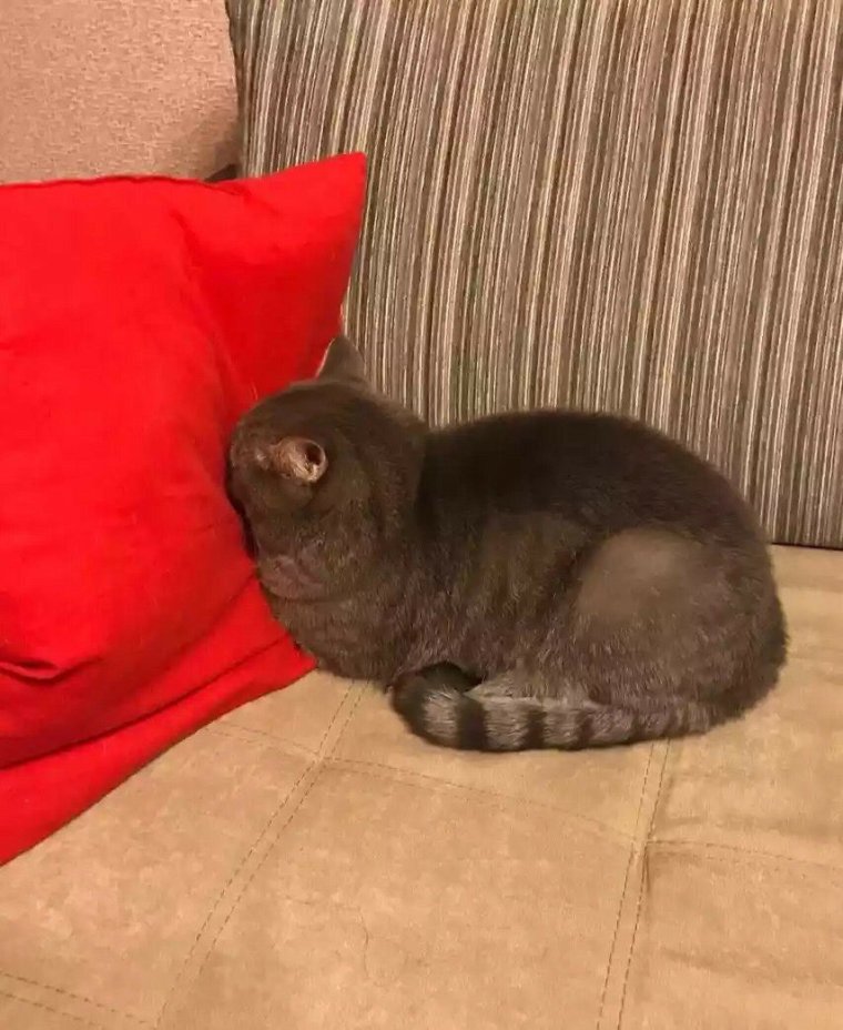 Просто вторник