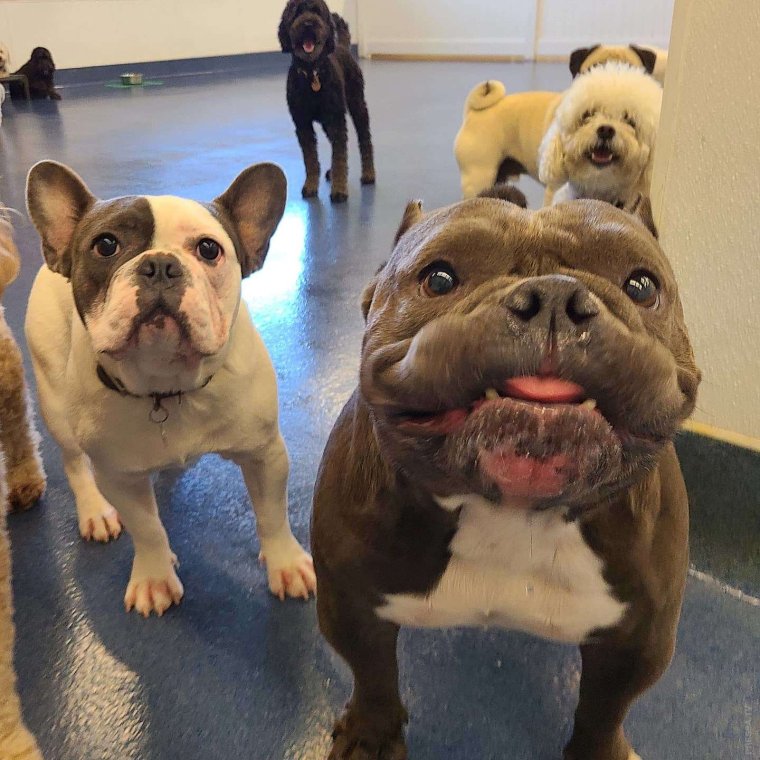 Вторник картинки с приколом для поднятия настроения