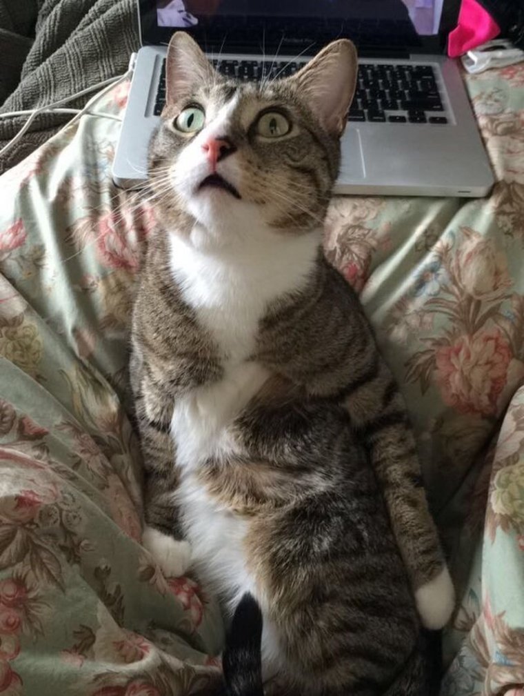 Демотиваторы про вторник