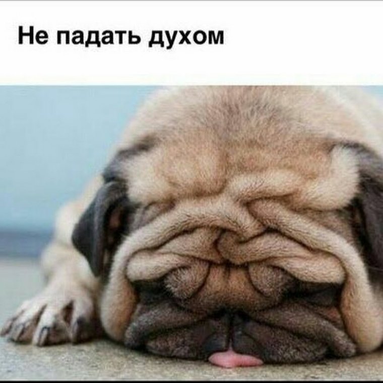 Доброго вторника