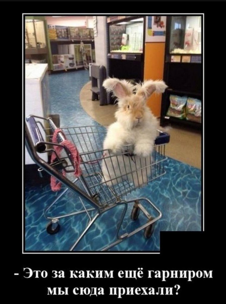 Завтра вторник