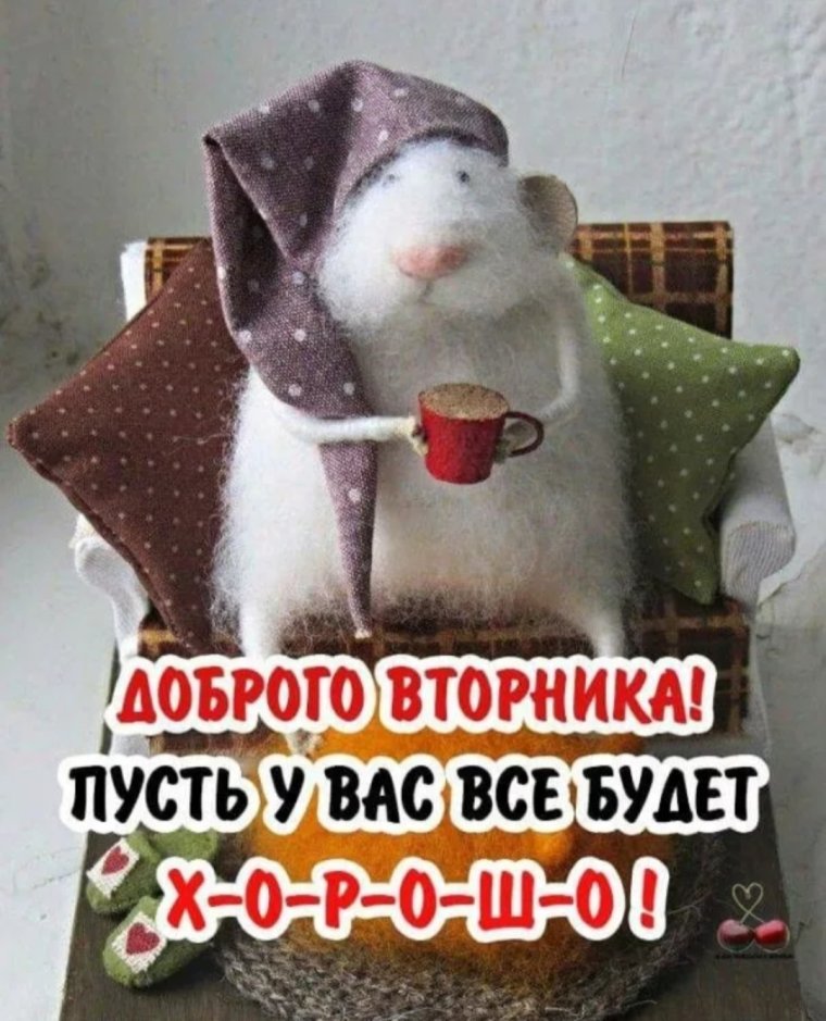 Настоящие Совы