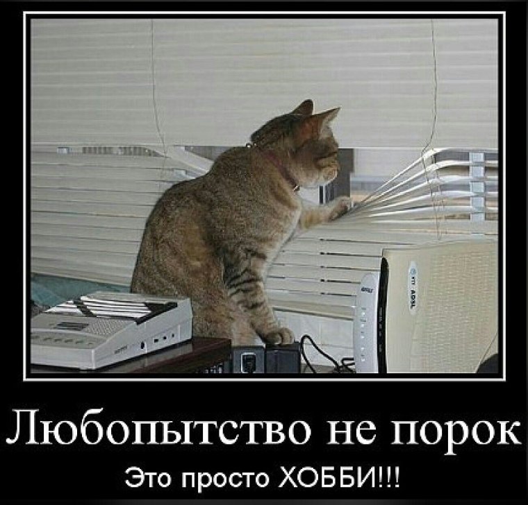 Сдулся картинка