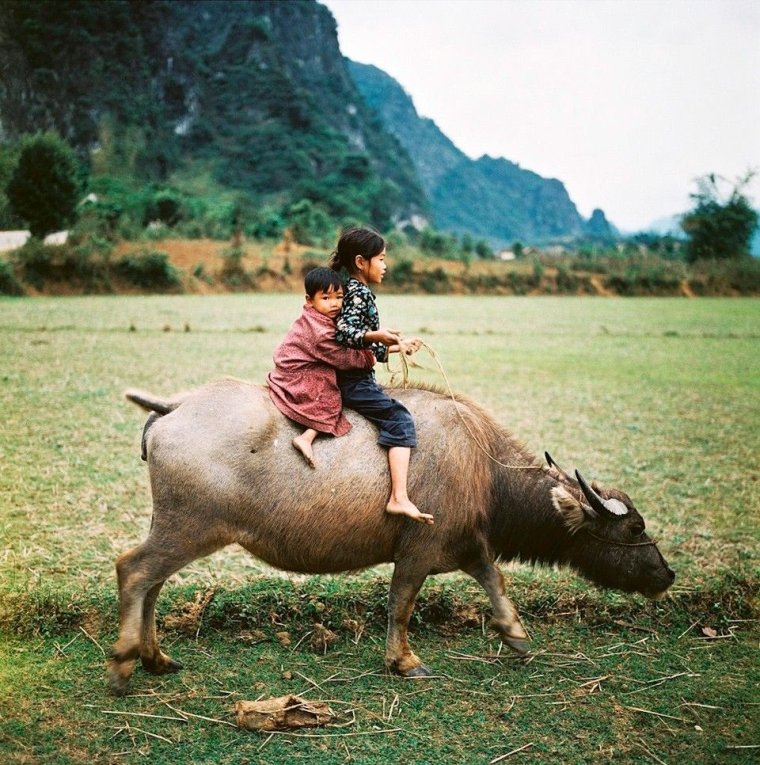Улыбающийся вьетнамец