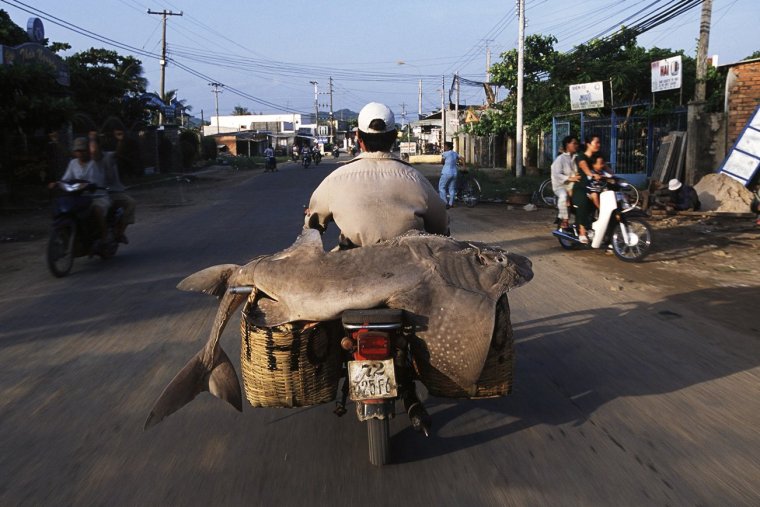 Образ жизни во Вьетнаме