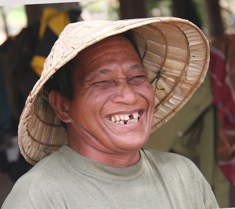 Вьетнамцы на деревьях