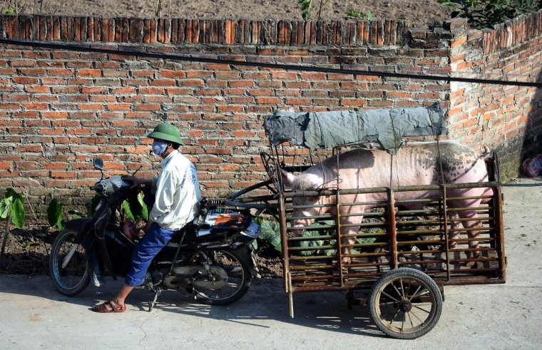 Вьетнам (Социалистическая Республика Вьетнам)