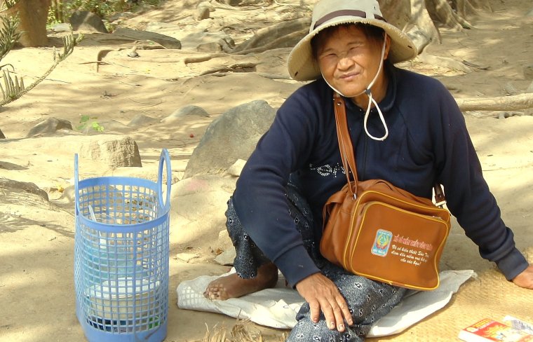 Слон на мотоцикле