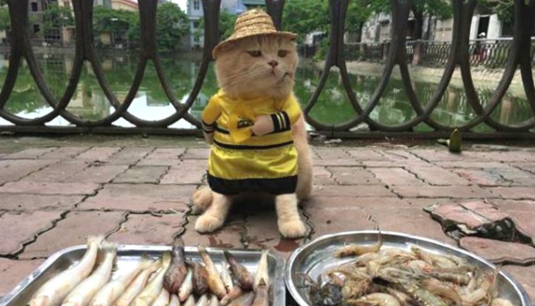 Гигантский хлеб во Вьетнаме