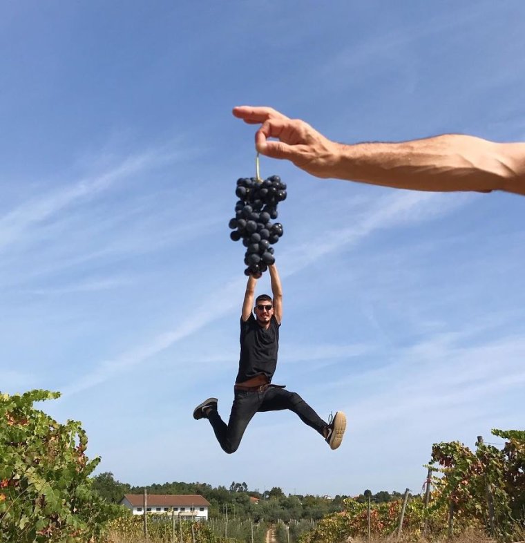 Оптические иллюзии Тиаго Сильва