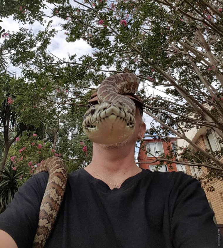 Кот классный ракурс