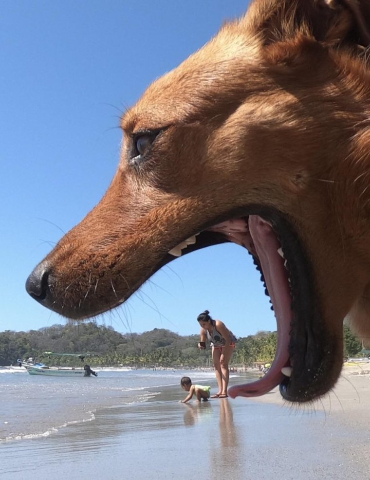 Удачные кадры