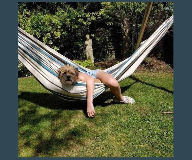 Смешной ракурс