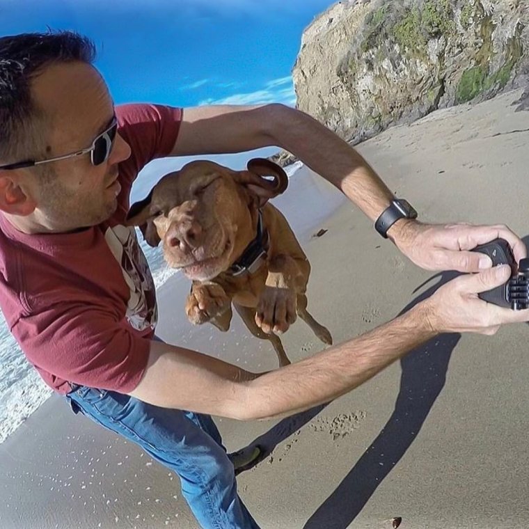 Смешной Кадр