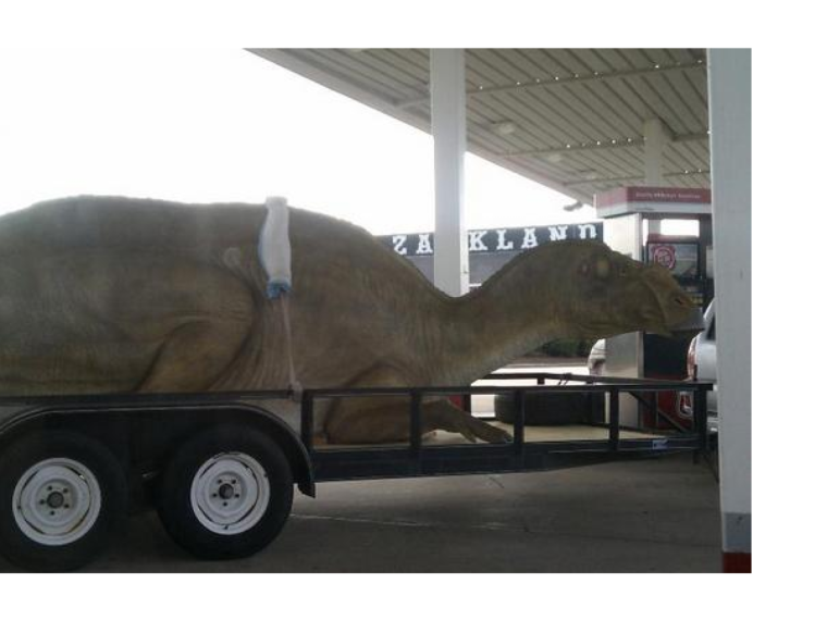 Динозавра везут на машине