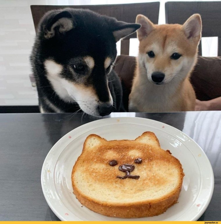 Шедевр демотиватор