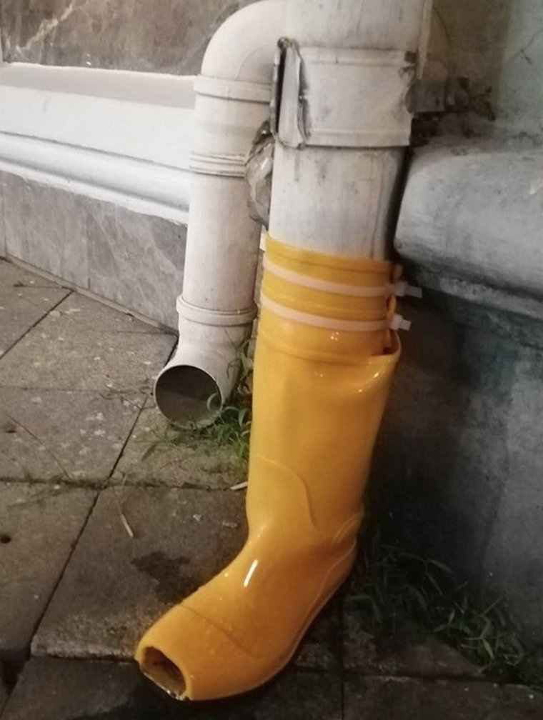 Сапоги лягушки раст