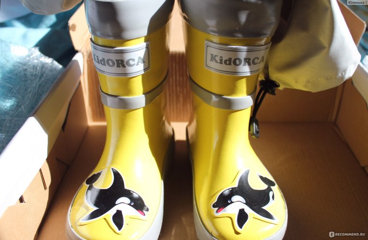 Сапоги из собаки