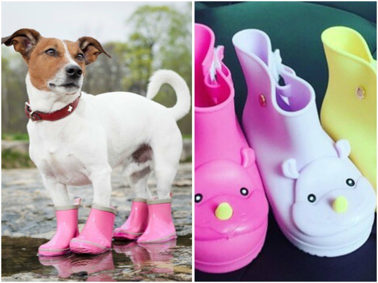 Смешные резиновые сапоги