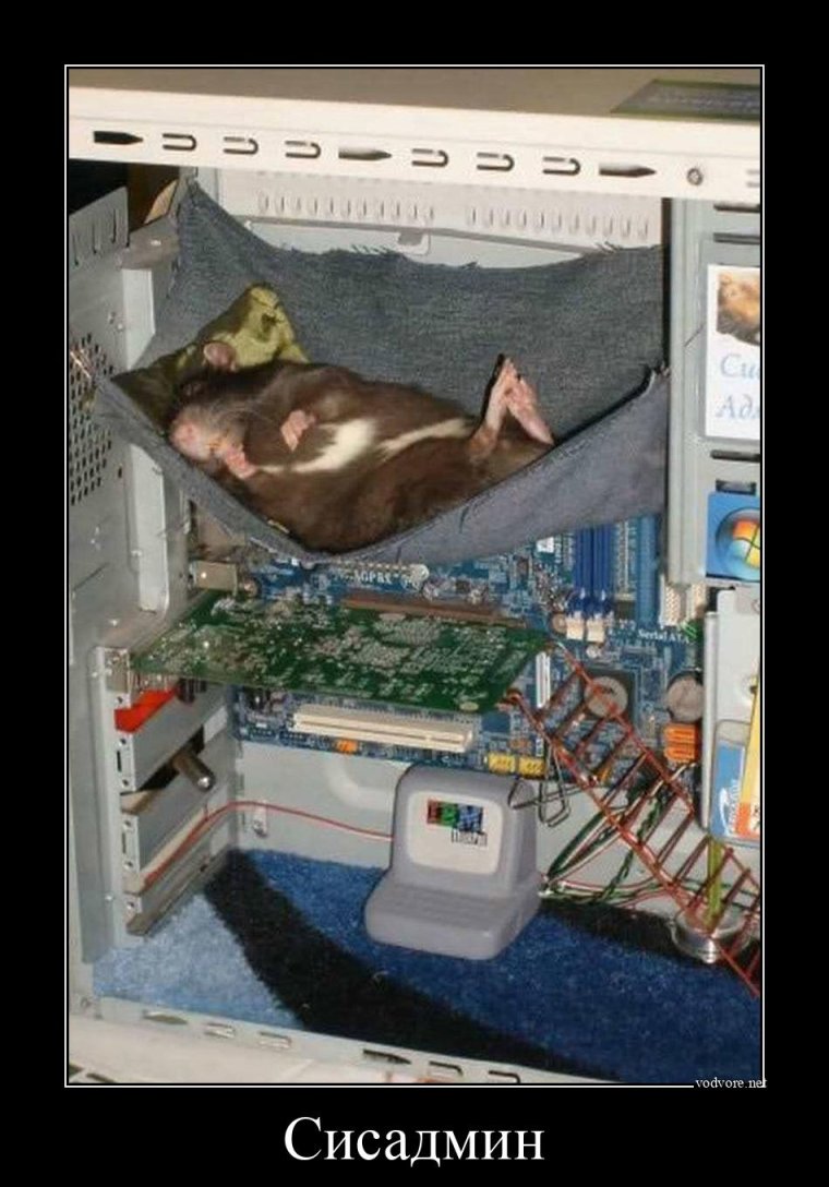 Системный администратор демотиватор