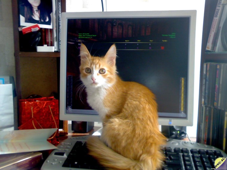 Прикольный админ