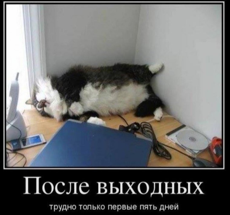 После выходных трудно только
