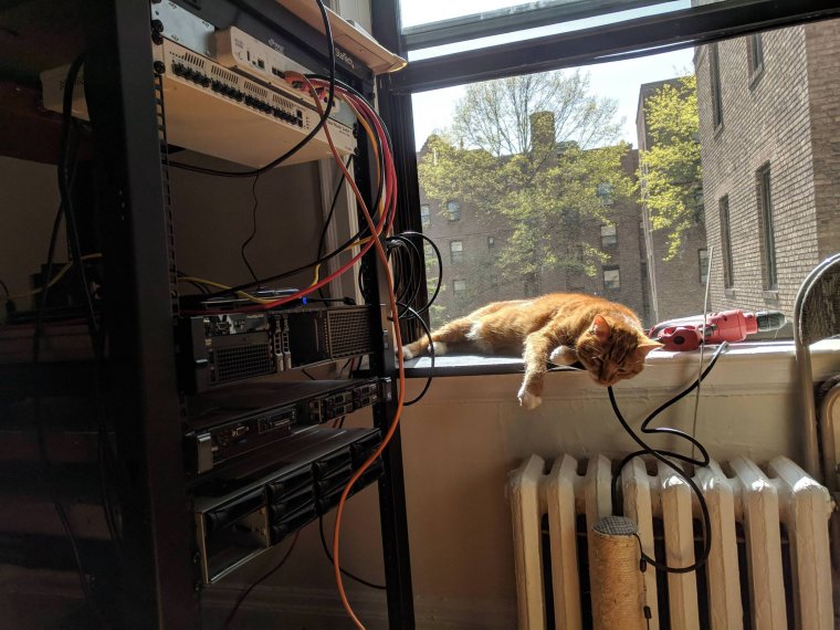 Смешной сисадмин