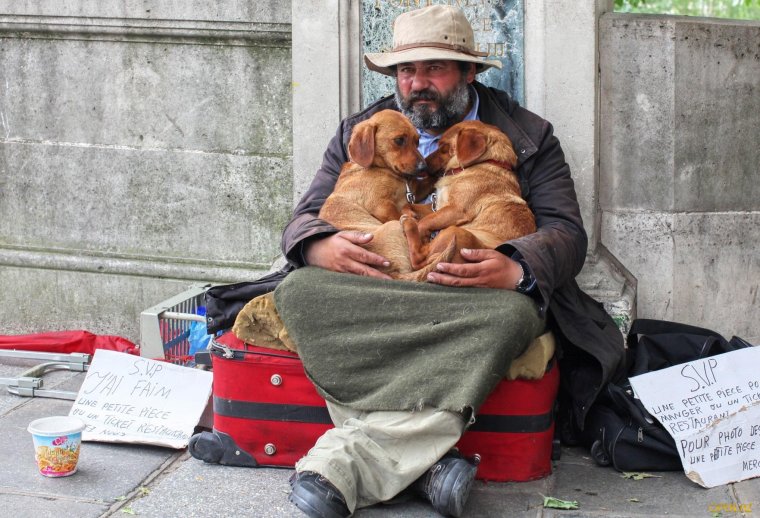 Работа ищет человека