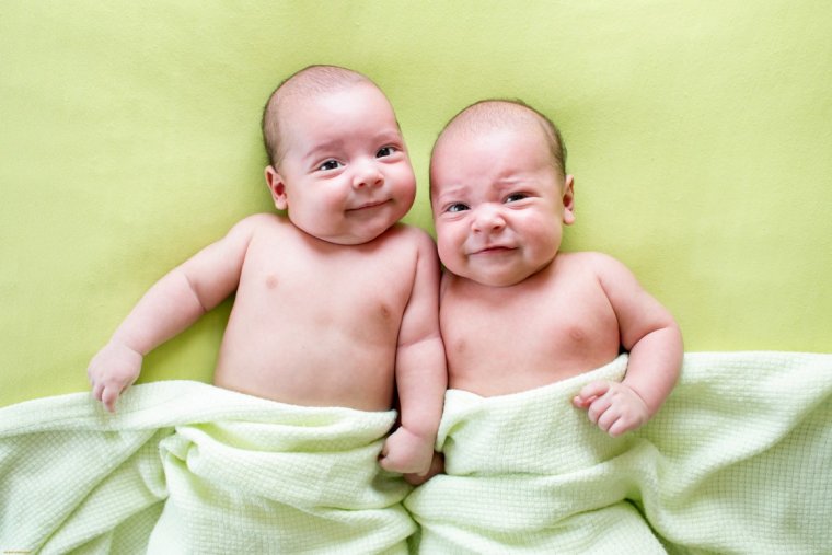 Двойня, Близнецы