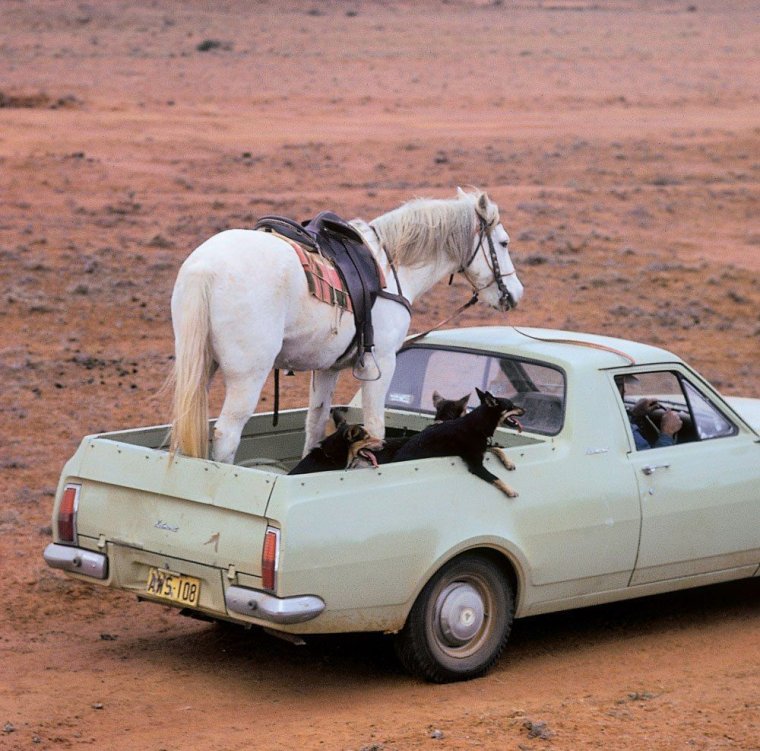 Машина с лошадью