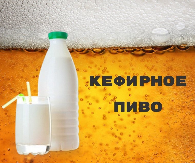 Пиво с кефиром
