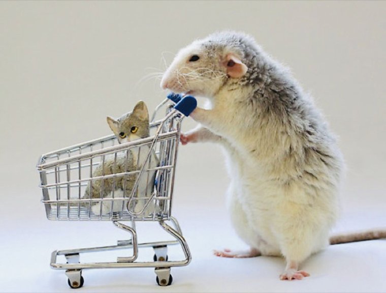 Мышь с тележкой