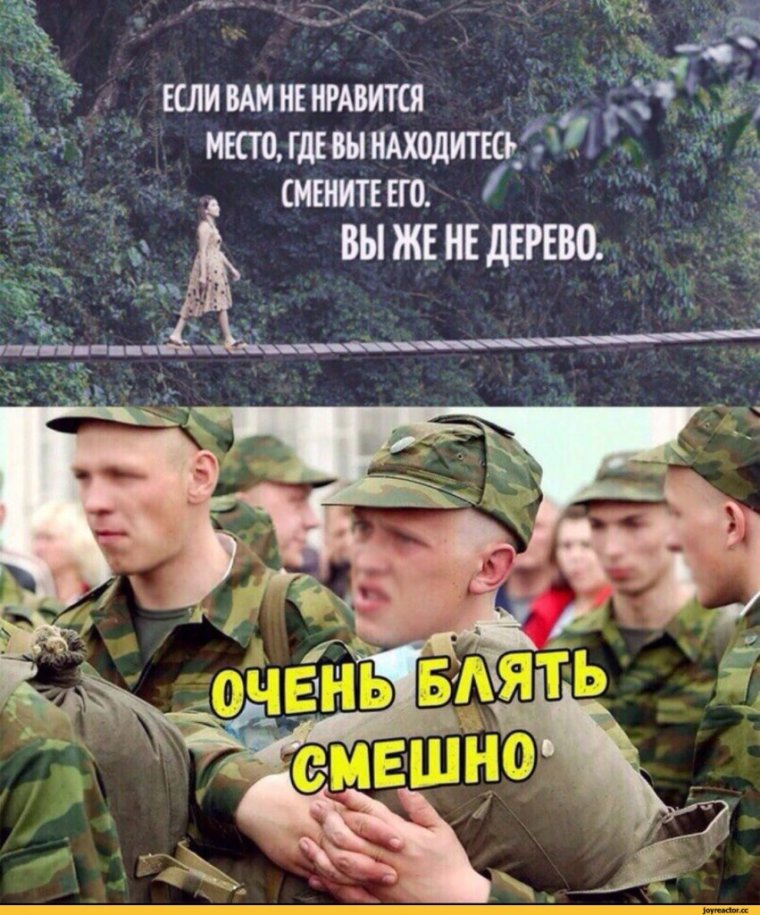 Весёлые афоризмы про армию