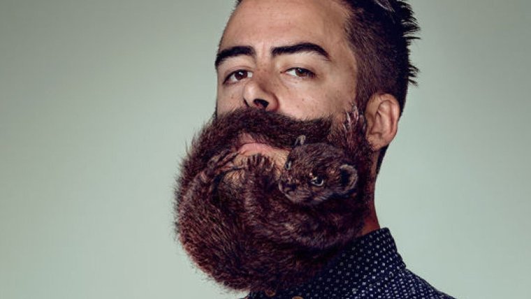 Смешной мужик с бородой