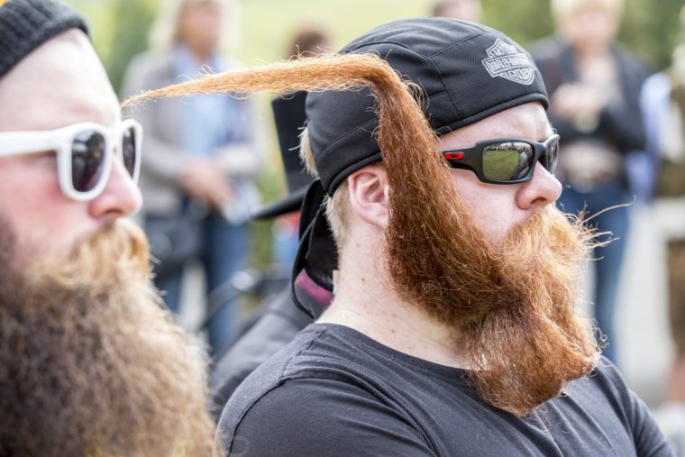 Смешная борода