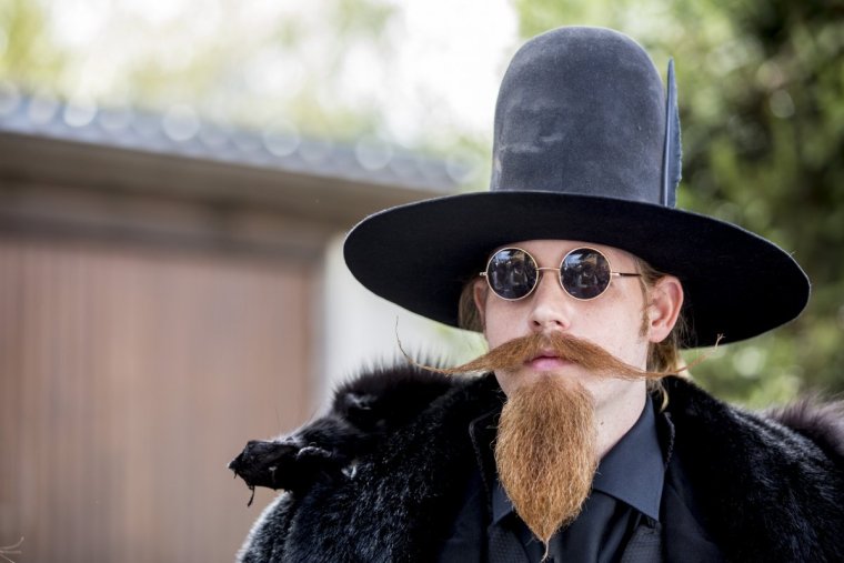 Пушистые бакенбарды