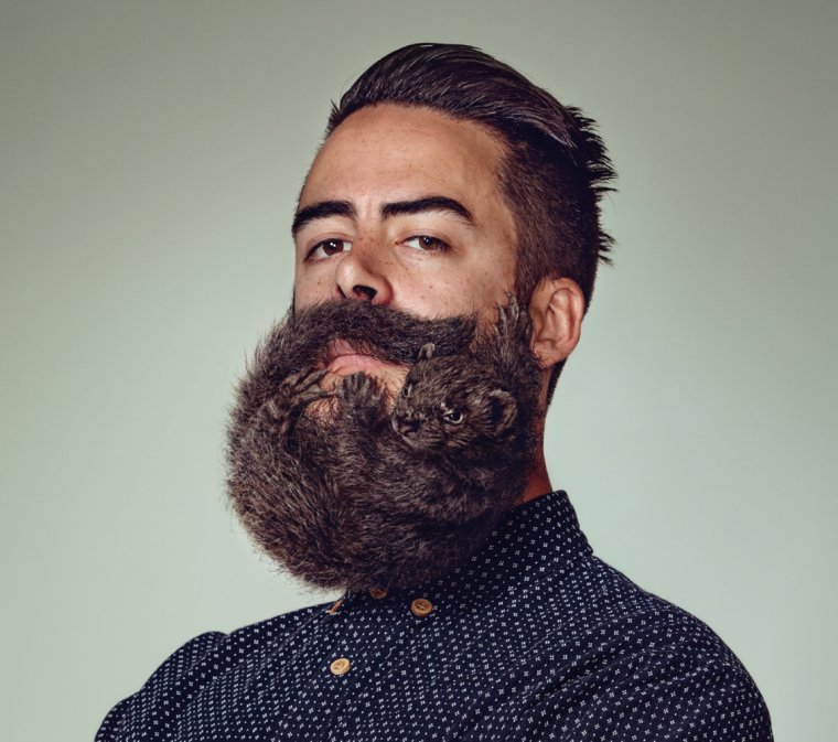 Смешная борода у мужчин