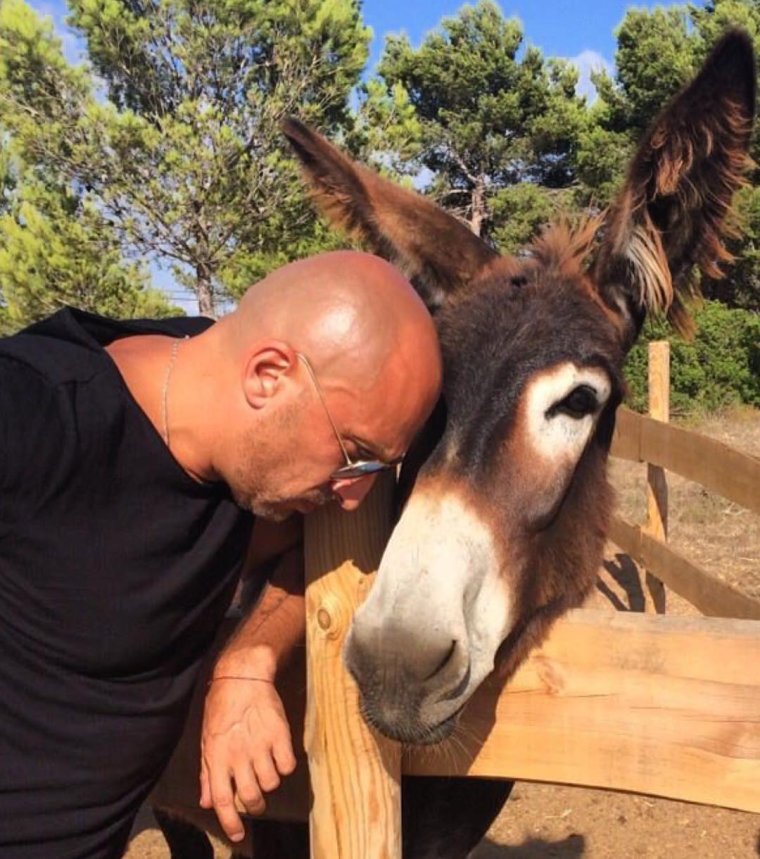 Нагиев осторожно Модерн