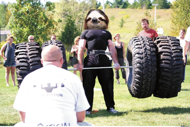 Кроссфит тренер прикол