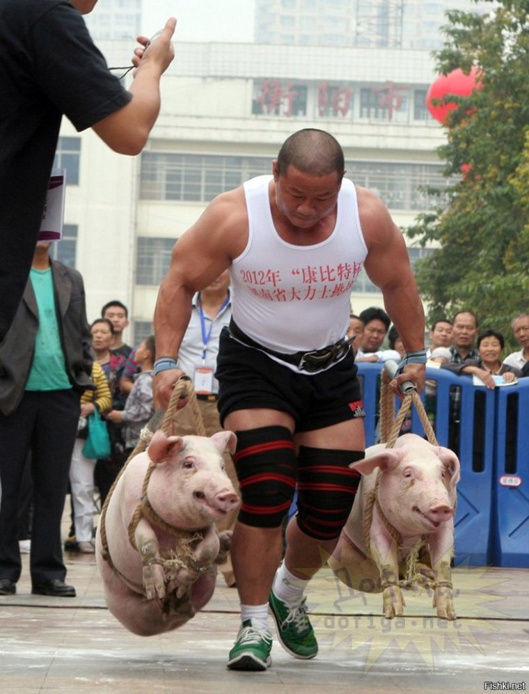 Пауэрлифтинг юмор