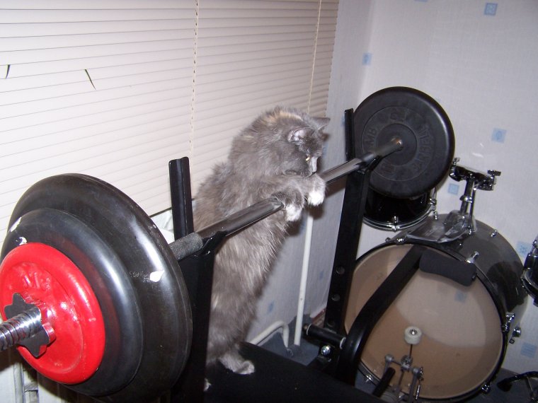 Том Платц присед 180