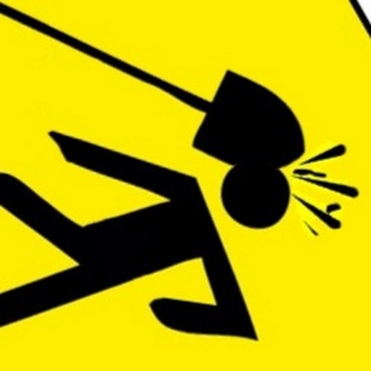 Костюм лося