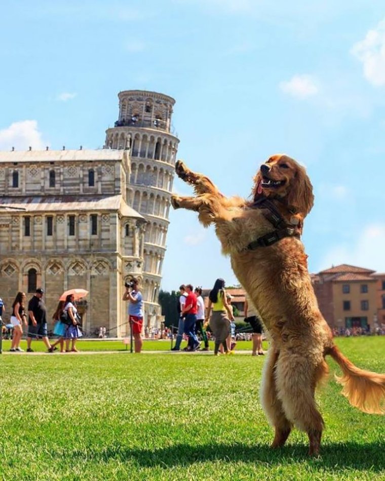 Прикол с Пизанской башней