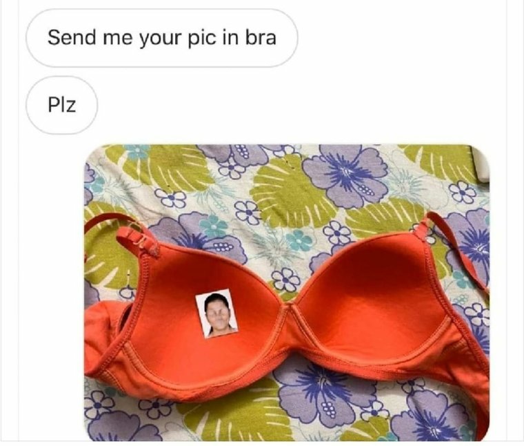 Фотография в лифчике прикол