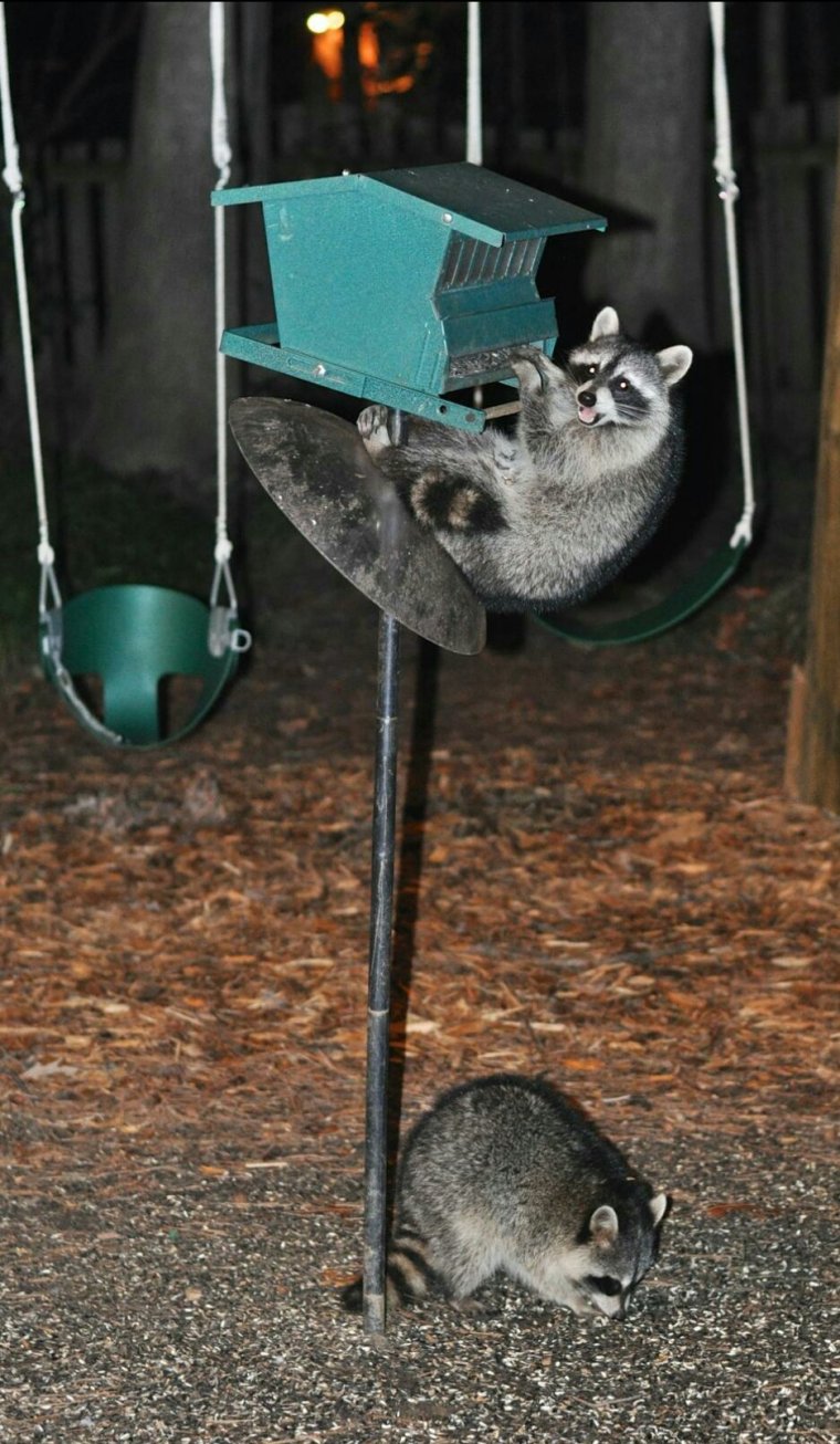 Смешной Самурай