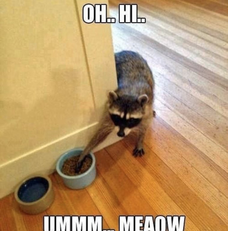 Жрать нечего